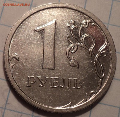 РАЗНОВИДНОСТИ  от  СЛФ - DSC08472.JPG