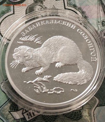 Два рубля 2012 год Красная книга 2 монеты серебро до 31.08 - IMG_20190829_072453