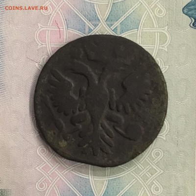 Деньга 1735 года. До 22:00 04.08.19 - A01E489C-8791-462F-B317-7A06E734F9CA
