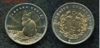 1 лира 2014 Турция  Турецкая ангора   до 6.09.19 в 22.00 мск - img943