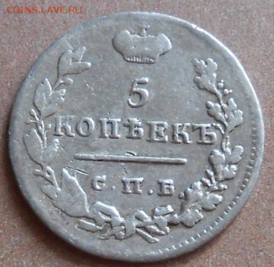 5 копеек  1825 СПБ ПД 04.09.2019 - монеты 513