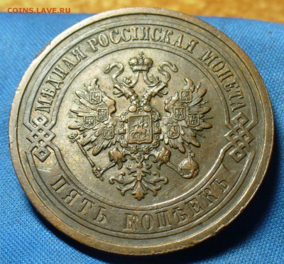 5 копеек 1911 года СПБ Домашняя До 03.09.19 в 22.00 МСК - P1520005.JPG