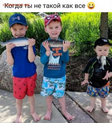 юмор - H5EH-kFS43U