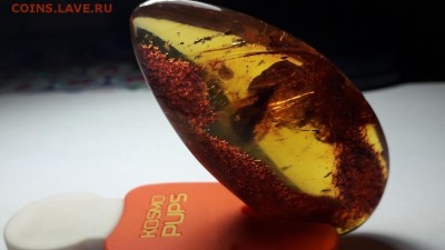 делает - прямо сейчас !!! - Screenshot_20190902-235924_Gallery