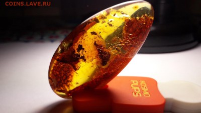 делает - прямо сейчас !!! - Screenshot_20190902-235913_Gallery
