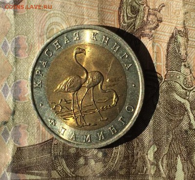 50 рублей Красная книга Фламинго 1994 до 05.09.19 - IMG_4030.JPG