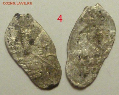 Чешуйки на определение. - P1820516 4-о39