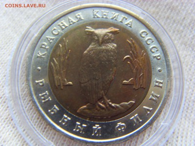 Красная Книга- 5 рублей Филин 1991 до 06.09.19 г. - SDC16789.JPG