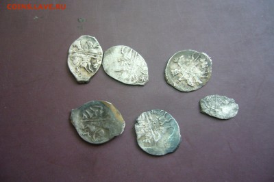 Чешуя - ассорти - 07-09-19 - 23-10 мск - P2140257.JPG