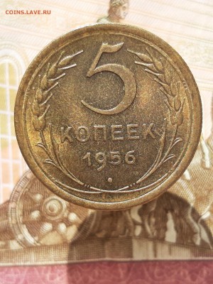 5 копеек 1956 UNC - 5 к 56
