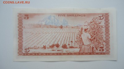 КЕНИЯ 5 ШИЛЛИНГОВ 1978 АUNC - DSC06313.JPG