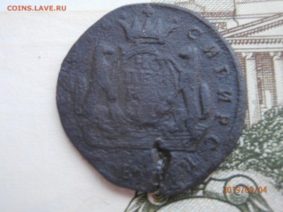 копейка сибирская 1774 до 22.00 мск 08.09.2019 - P9040359 (Copy).JPG