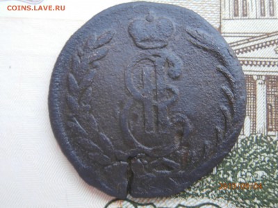 копейка сибирская 1774 до 22.00 мск 08.09.2019 - P9040358 (Copy).JPG