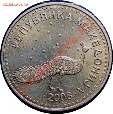 B41 Македония 10 денаров 2008 (павлин) до 21.07 в 22°° - B41 Macedonia 10 denar 2008_2