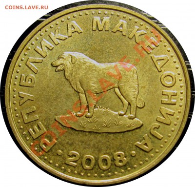 B42 Македония 1 денар 2008 (овчарка) до 21.07 в 22°° - B42 Macedonia 1 denar 2008_2