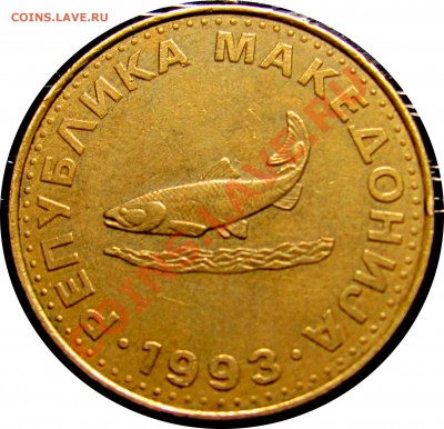 B43 Македония 2 денара 1993 (форель) до 21.07 в 22°° - B43 Macedonia 2 denar 1993_2