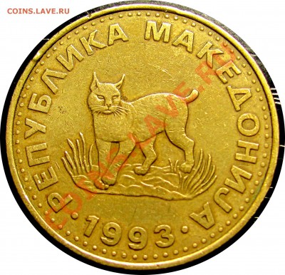 B44 Македония 5 денаров 1993 (рысь) до 21.07 в 22°° - B44 Macedonia 5 denar 1993_2