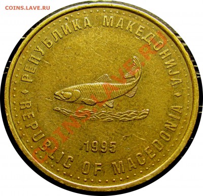 B45 Македония 2 денара F.A.O. 1995 (форель) до 21.07 в 22°° - B45 Macedonia 2 denar FAO 1995_2