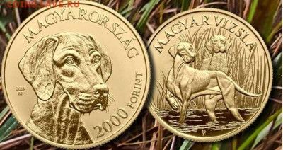Памятные монеты Венгрии из недрагоценных металлов - Венгрия 2019 8.JPG