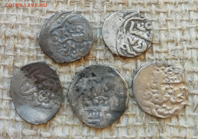 Дирхемы до 12.09 в 22.00 - IMG_20190905_105013