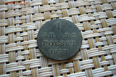 1 грош 1830 - 11-09-19 - 23-10 мск - P1830106.JPG