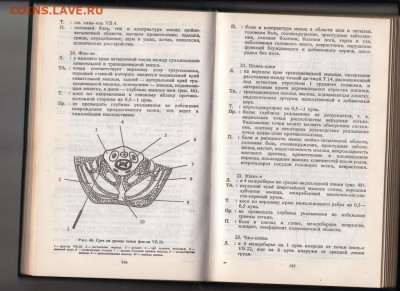 Основы ЧЖЕНЬ-ЦЗЮ терапии 1991 г. до 14.09.19 г. в 23.00 - 015