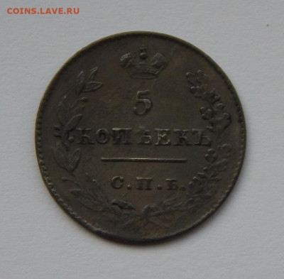 5 копеек 1826 г. СПБ НГ. Николай I. Орел с опущенными крылья - DSCN7175.JPG