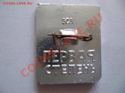 Значок "Готов к защите Родины" первая степень - DSC01225