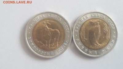 Красная книга: 5р 1991г. Филин и Козел, до 15.09 - Ч КК Филин и Козел-1