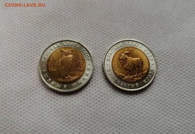 5 рублей 1991 Красная Книга Филин и Козел до 13.09.19 22:00 - IMG_20190909_171718