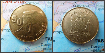 Замбия 50 нгве, 2013 - 17