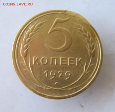 5 копеек 1929 г. до 13.09 в 22-00. - IMG_4568.JPG