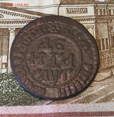 Деньга петра 1703 года на оценку - IMG_20190911_095546