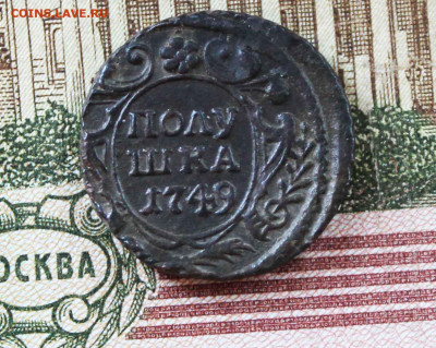 полушка 1749 г. до 15.09.до 21 00 по мск - IMG_8187.JPG