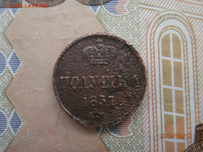 полушка 1857 ЕМ до 22.00 мск 15.09.2019 - P9120412 (Copy).JPG