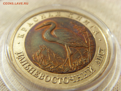 Красная Книга- 50 рублей Аист 1993 до 18.09.19 г. - SDC16824.JPG