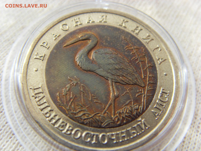 Красная Книга- 50 рублей Аист 1993 до 18.09.19 г. - SDC16823.JPG