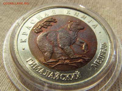 Красная Книга- 50 рублей Медведь 1993 до 18.09.19 г. - SDC16815.JPG