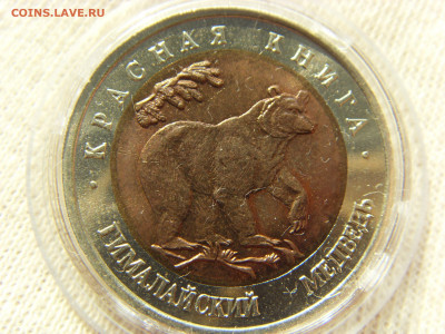 Красная Книга- 50 рублей Медведь 1993 до 18.09.19 г. - SDC16814.JPG