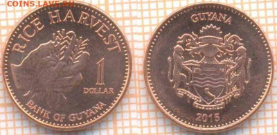 Гайана 1 доллар 2015 г., до 17.09.2019 г. 22.00 по Москве - Гайана 1 доллар 2015  6797