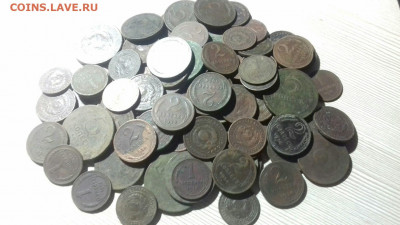 98 монет 1924 года, до 15.09.19 в 22.00 по МСК - 9