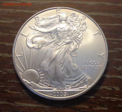 США - Шагающая Свобода 2009 до 20.09, 22.00 - Шагающая свобода 2009_1.JPG