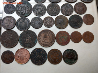 Медные монеты мира  с 1697 ФИКС до 16.09 - IMAG3075