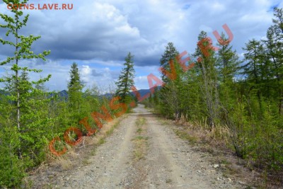 ФОТО - просто фото. Те что получились удачными. - Пейзаж_8.JPG