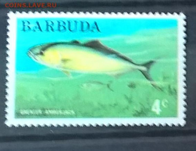 Барбуда 1м** до 16 09 - 604