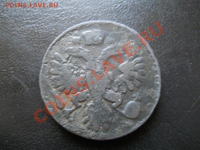 Денга 1743 Года "Крыло С 9 Перьями". R1. Ок. в 22.00, 23.07. - 6.JPG