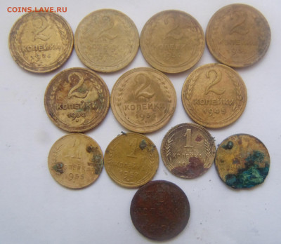 Ранние советы 50 шт. до 16.09.2019 - DSC01009