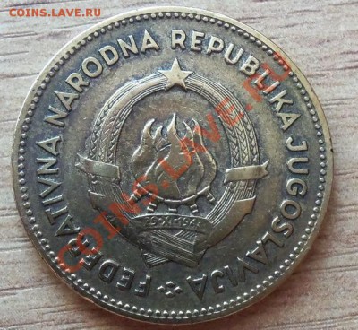 50 динар Югославия до 23.07.11 в 22.00 - 101_0907