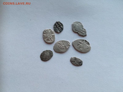 7 чешуек до 19.09.2019 - 7чешуек