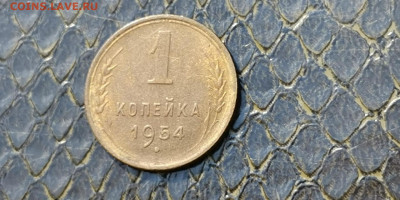 1 копейка 1954 год. До 21.09 - IMG_20190915_154454